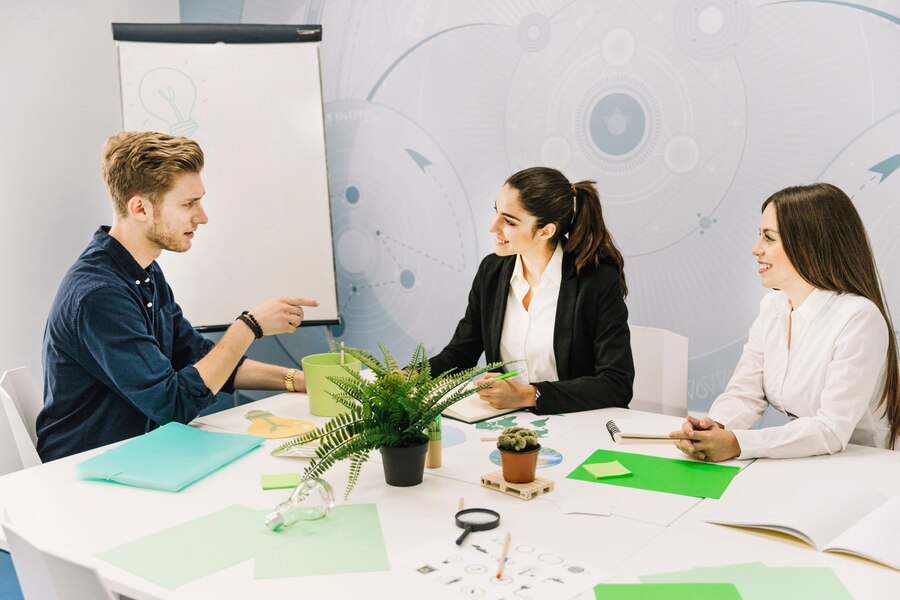 The Role of Mentorship in Startup Success